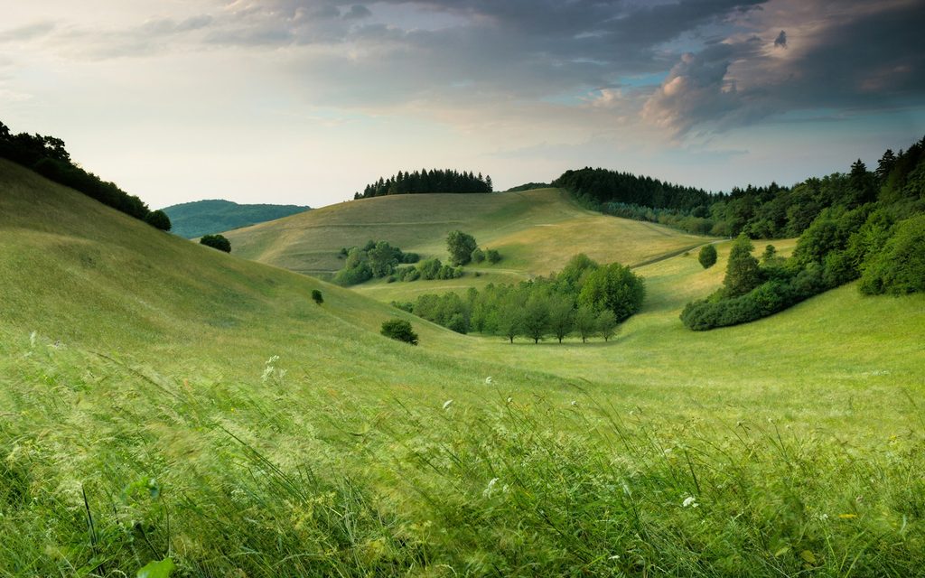 beauty of nature